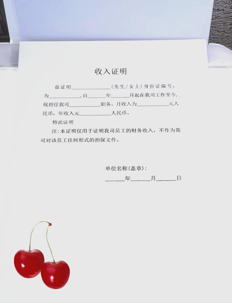 莆田代开收入证明的正确姿势：张会计的突围战